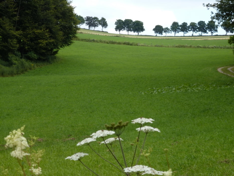 Wandern Kall Kloster Steinfeld Eifelblick Urft Tour