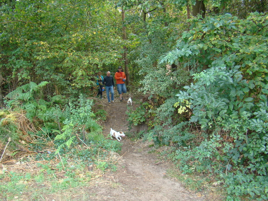 Wandern Wandelen In De Natuur Rondom De Heimolen Tour 45437