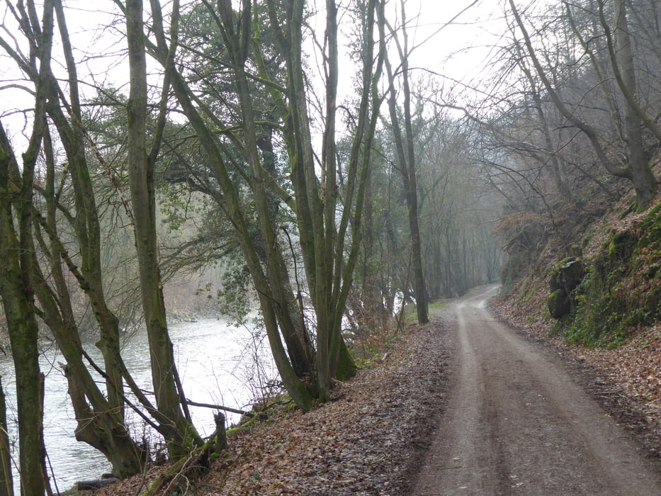 Wandern Von Leichlingen Roderbirken Ins Tal Der Wupper Tour