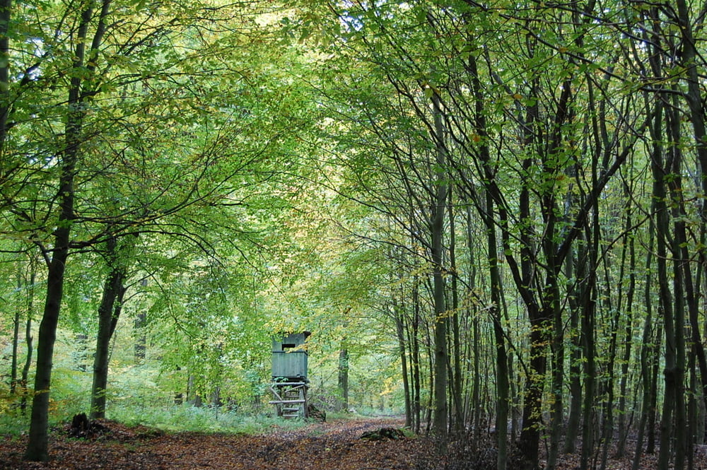 Rundweg Gr. Berg-Klingenberg