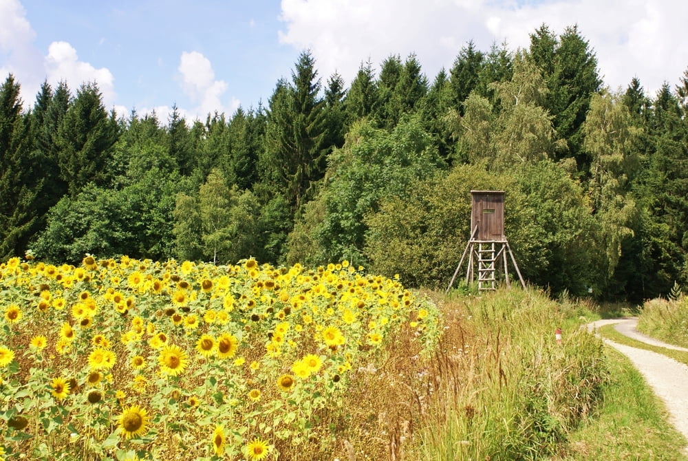 Kuenringerweg 611