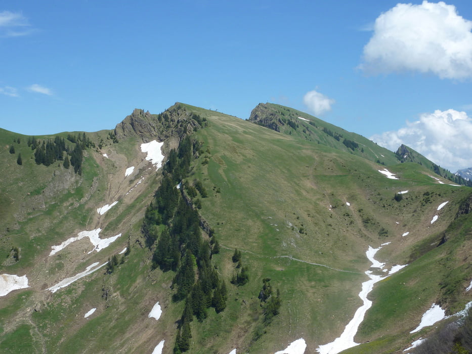 Bezau - Baumgarten (Rimsgrund, Hintereggalpe, Schreiberesattel, Niedere)