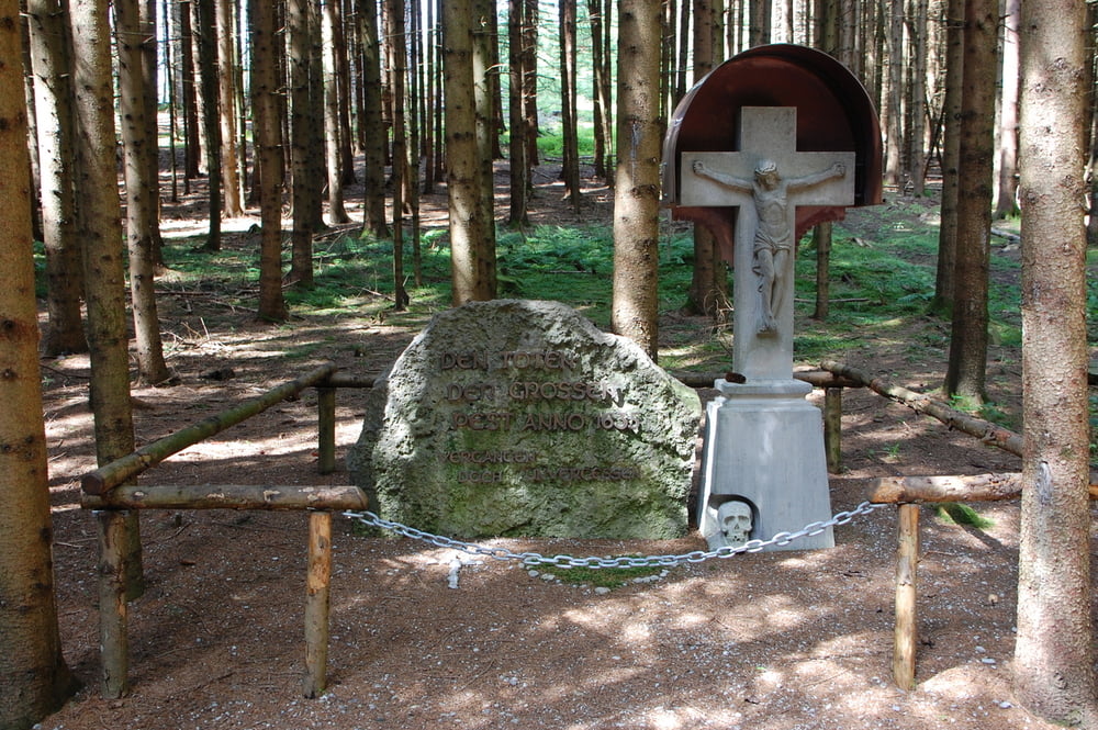 Allgäuer Panorama