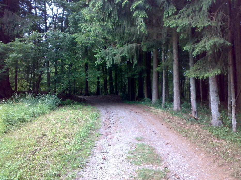 Wandern