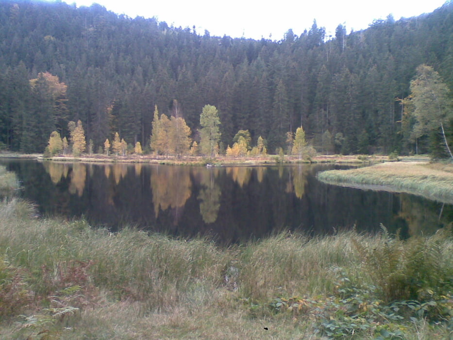 Baiersbronn-Obertal Rundfahrt