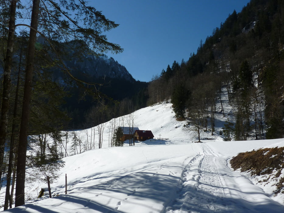 Karren Talstation - Spätenbachalpe - Ebnit - Hohe Kugel - Fluhereck - Schuttannen - Karren Bergstation