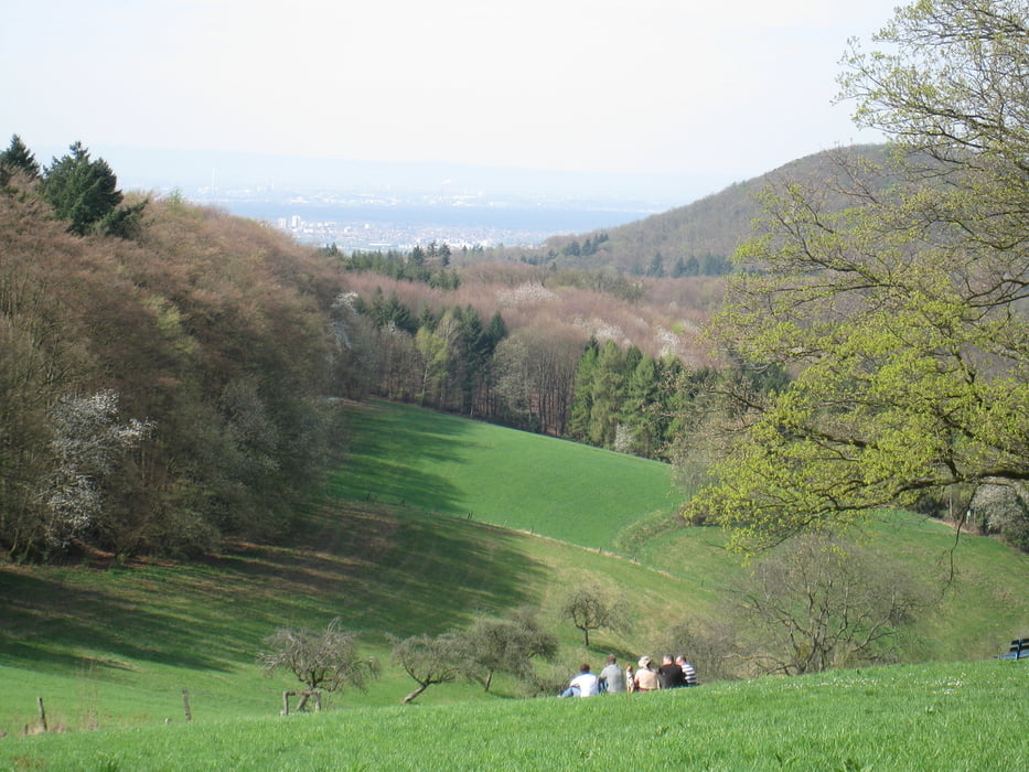 Hemsbach Rohrbach Hemsbach