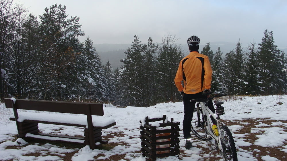 Kipsdorf, Downhill von der Tellkoppe