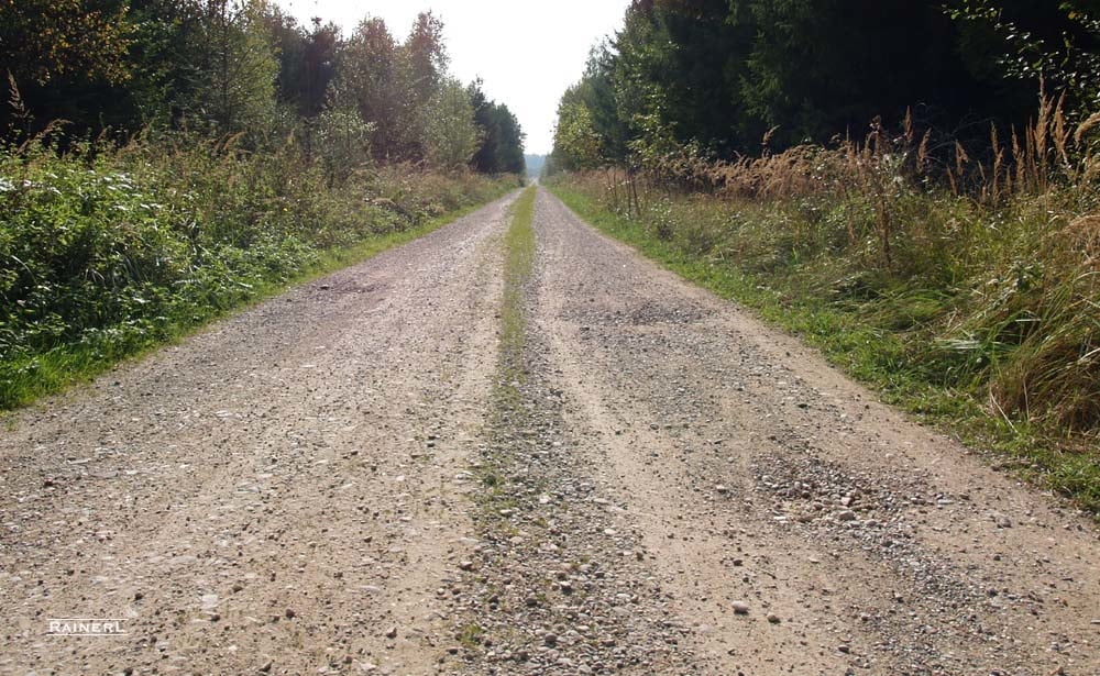 Haunstetten Wellenburg Wald Straßberg Haunstetten