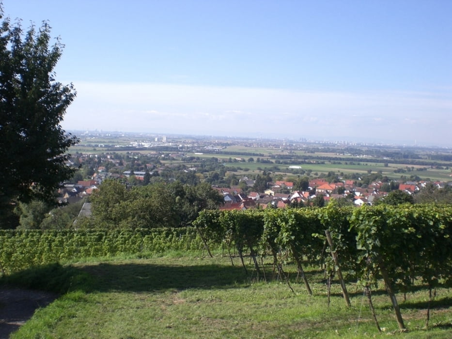 Weinheim und Umgebug - Sonntagsrunde