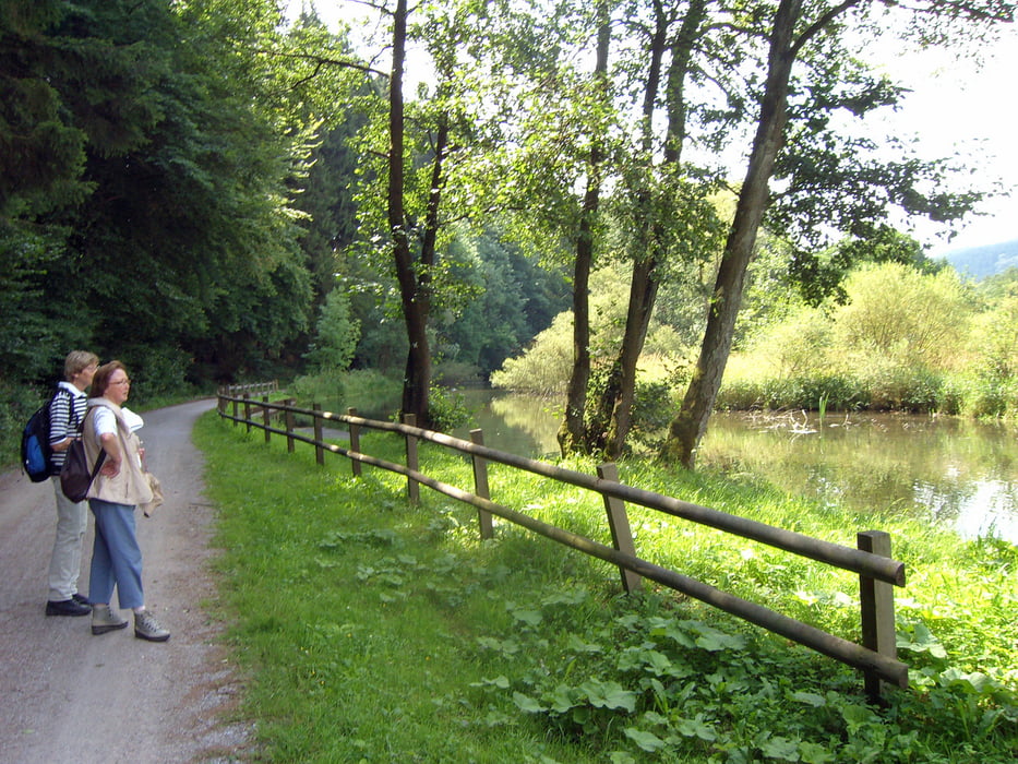 Bestwig-Bähnchenweg-Ramsbeck-Wasserfall