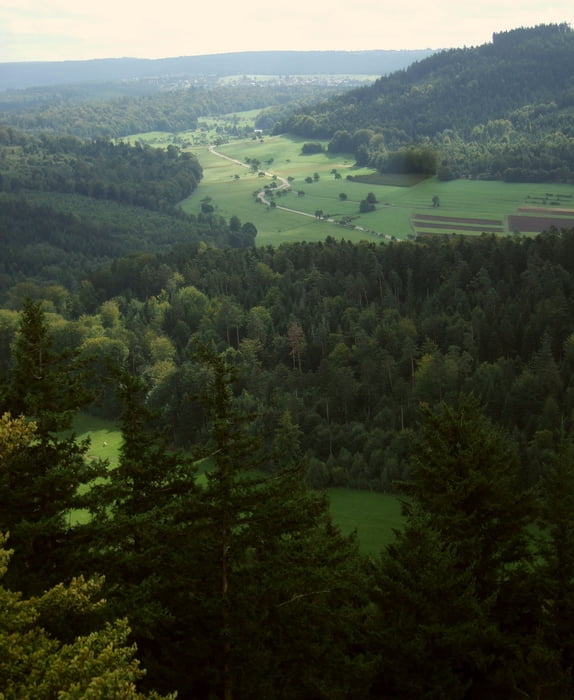 Von Ettlingen zum Mahlberg-Turm