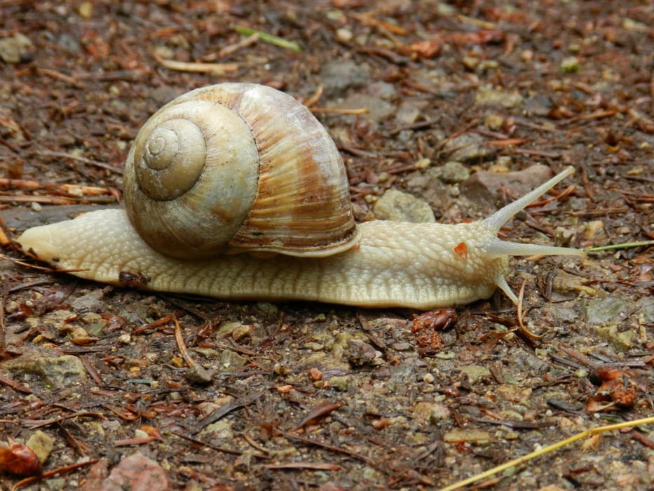 Rund um den Geiersberg