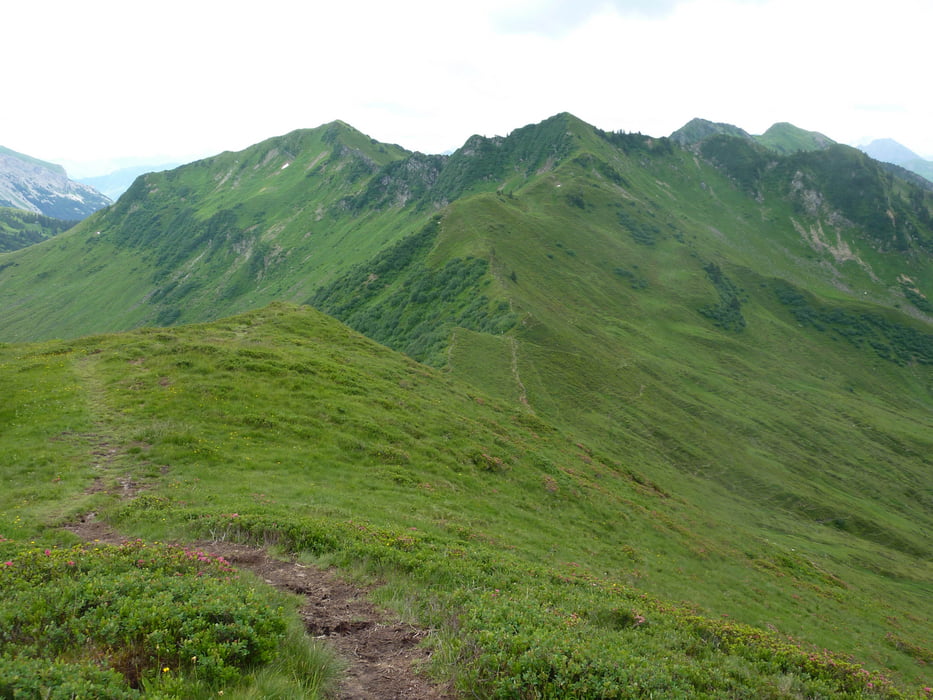 Schoppernau - Diedamskopf Bergstation (Neuhornbachalpe - Steinmandl - Kreuzmandl - Falzer Kopf - Kreuzle)