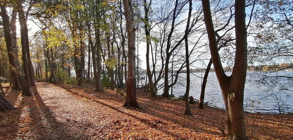 435. Schmöckewitzer Werder mit Zeuthener See, Krossinsee und Seeddinsee über Stasiegelände