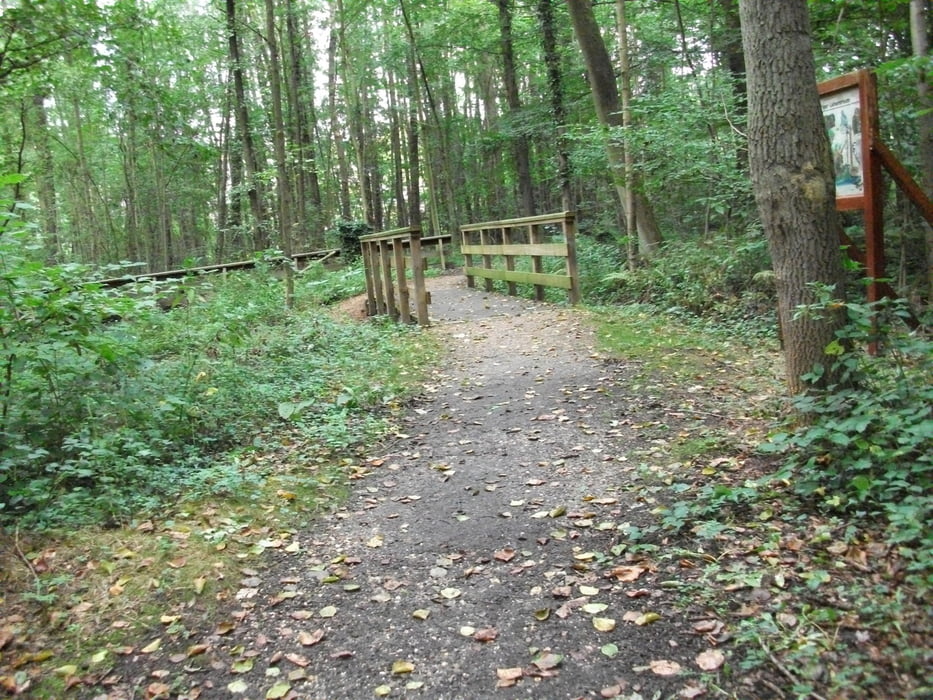 Wald-, Feld- und Radweg Tour