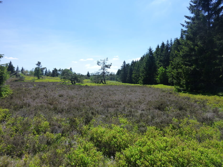 Runde durch das Hochsauerland