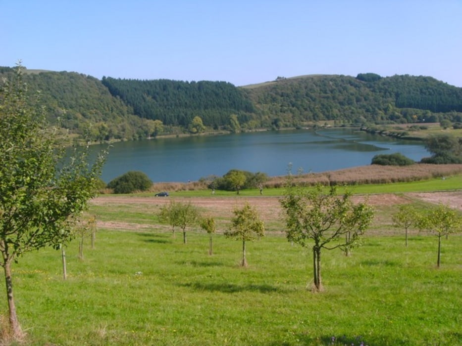 Große Schleife um Wallenborn