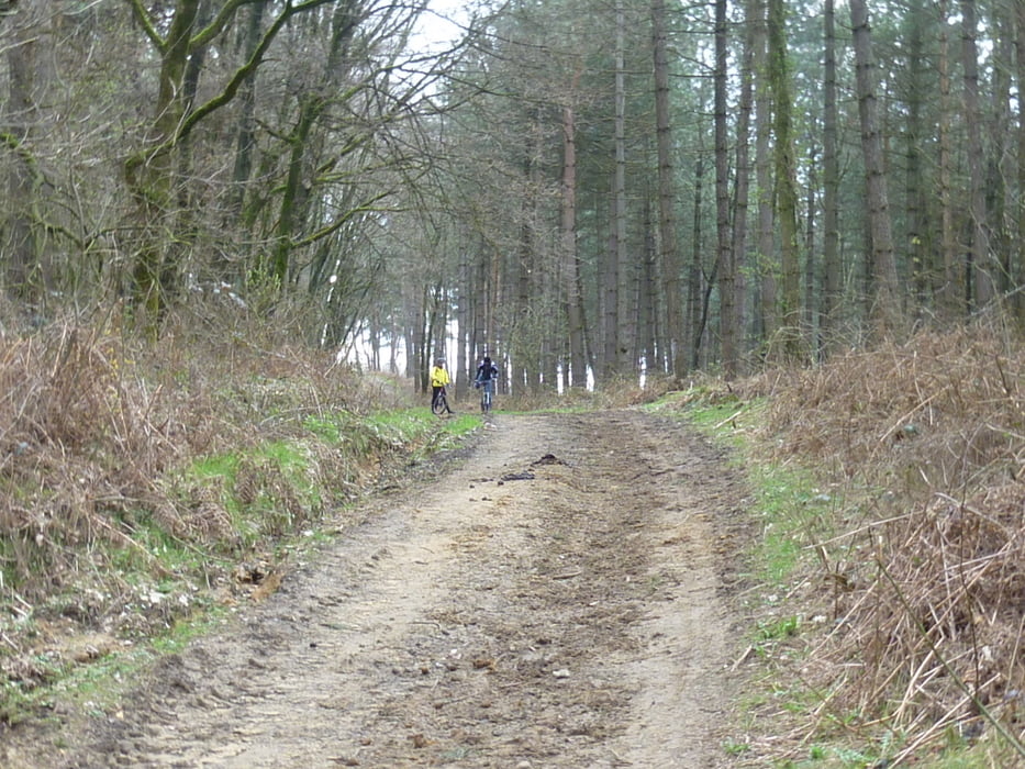 Biken in der Haard