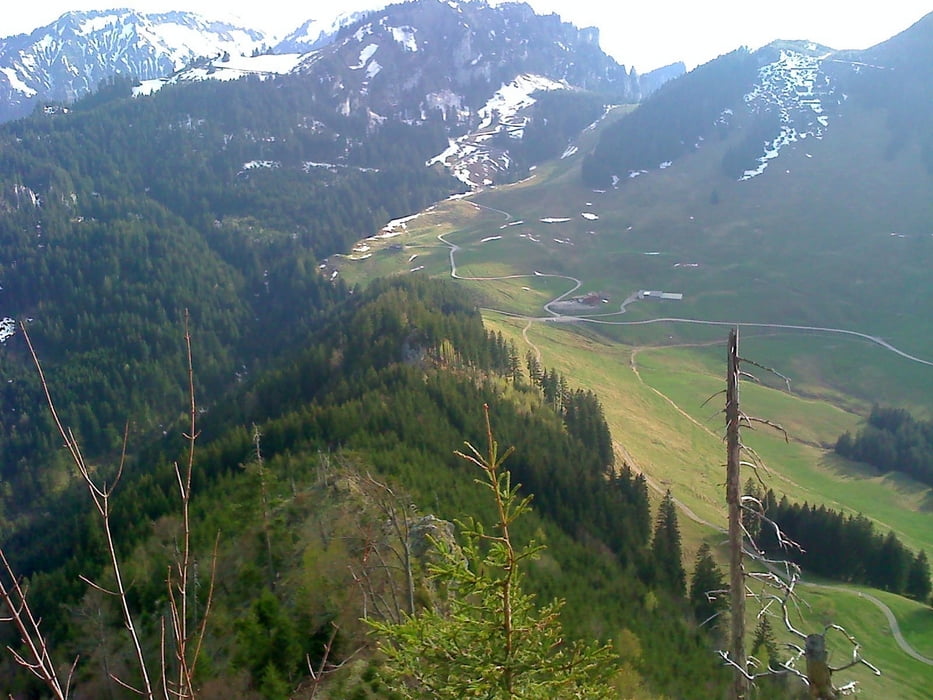 Dornbirn - Leiterweg - Staufen - Schuttannen - Dornbirn