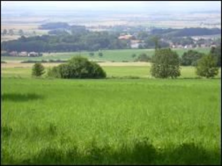 30km Runde Helmstedt - Rottorf - Lapwald