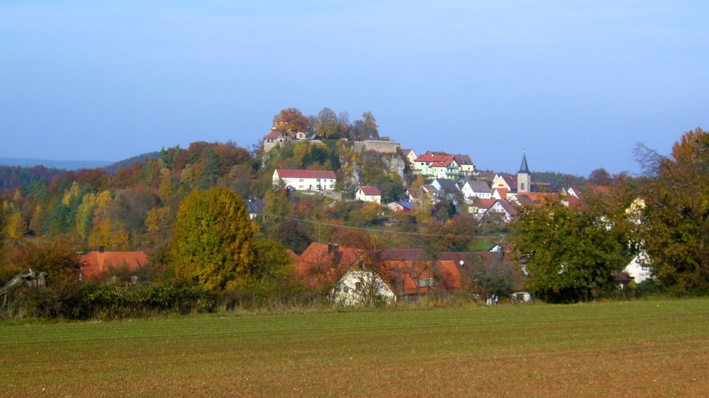 Wandern Franken: Hartenstein-Großmeinfeld, Schlangenfichte