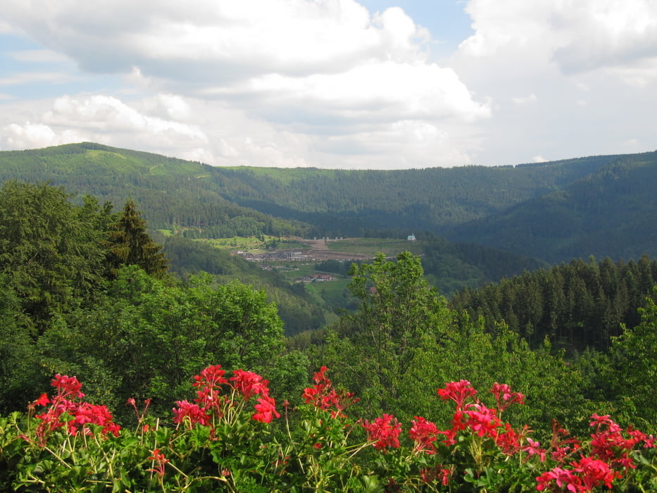 Rund um Oberkirch