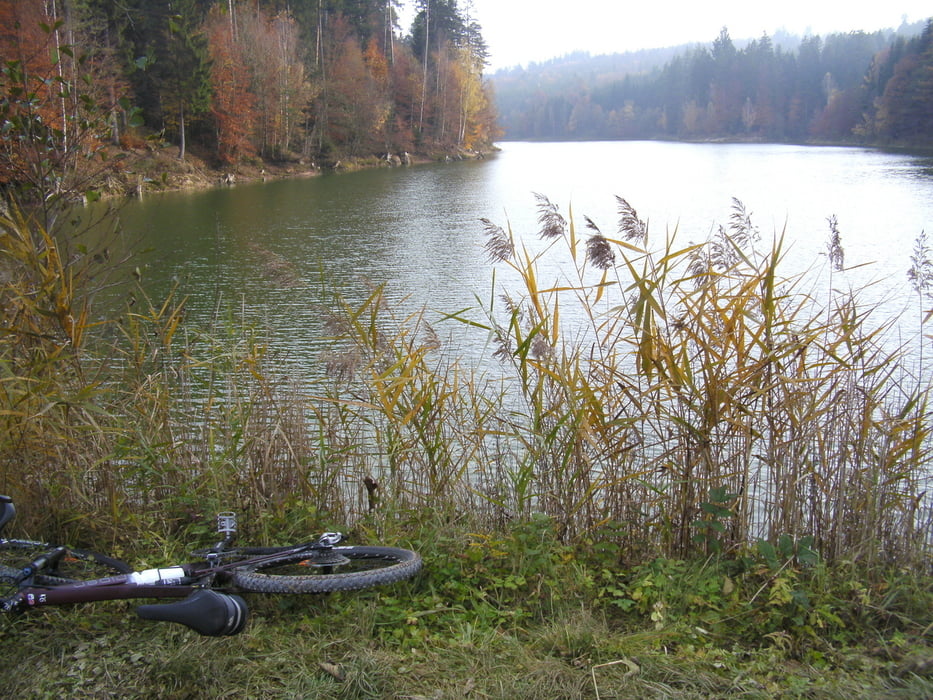 Rosswälden-Schurwald_2_Herrenbachstausee