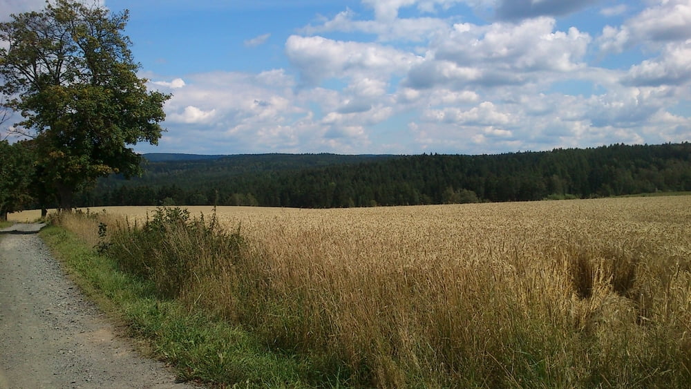 Landwüst - Wernitzgrün - Vysoký kámen