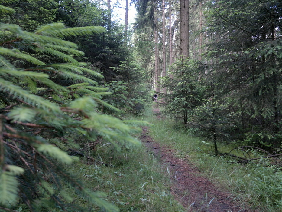 Trail-Tour-Sauerland