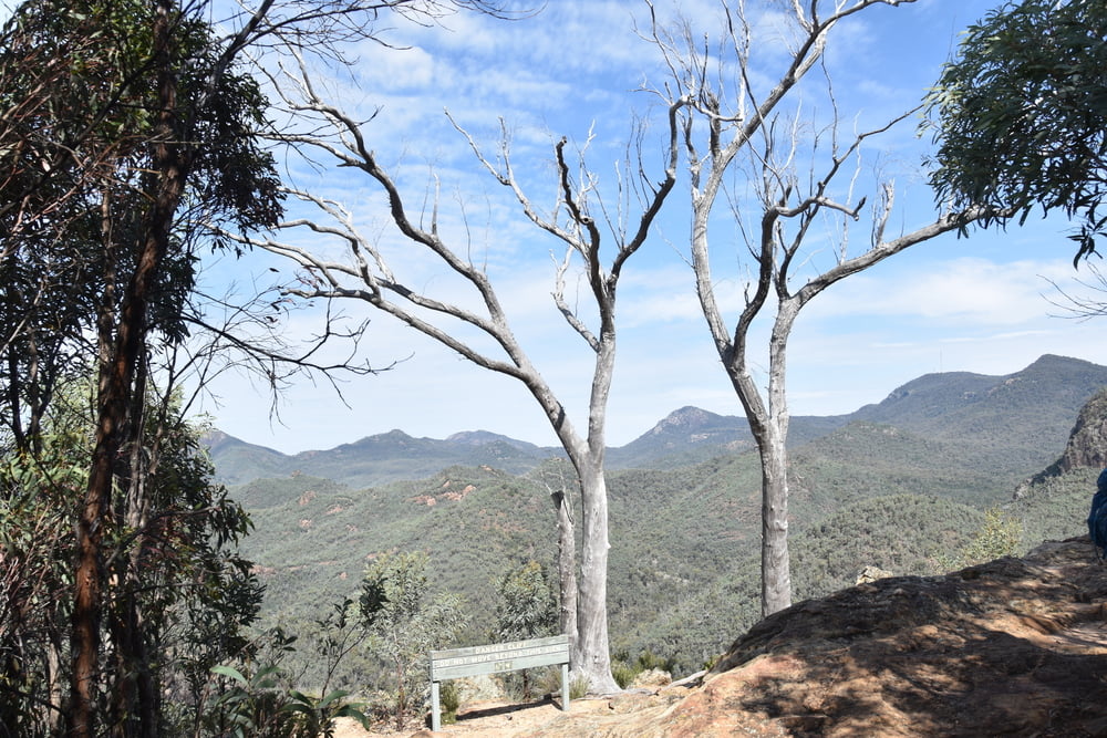 Warrumbungles - Fans Horizon