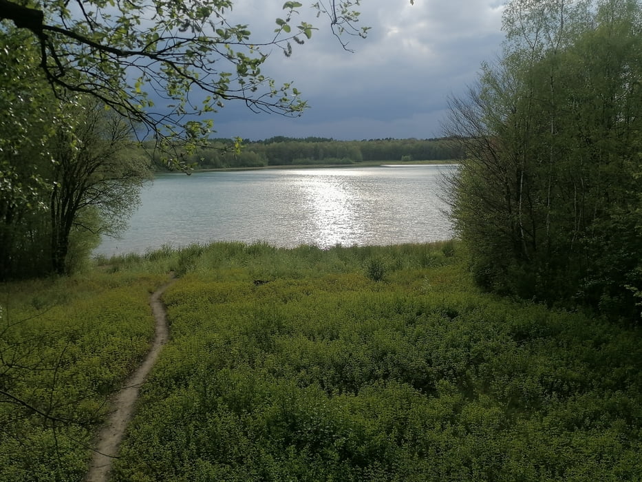 674. Mordkuhlenberg mit Aussichtsturm und Bergsee ;-)