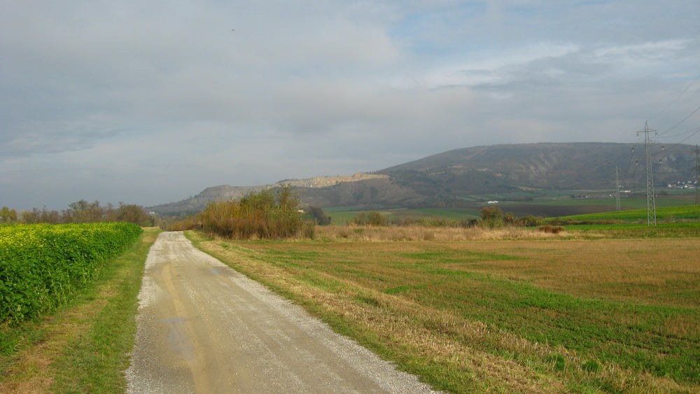 20091108_Poľňačkami kúsok za Schaffelhof