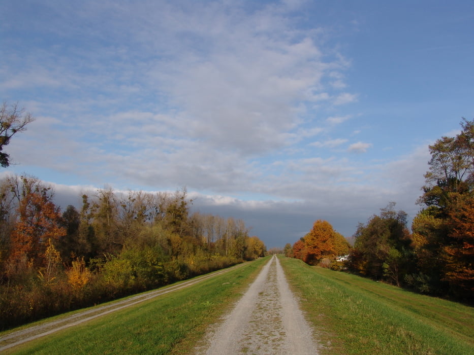 Greffern_Iffezheim_Elsass-Rhein-Rundweg