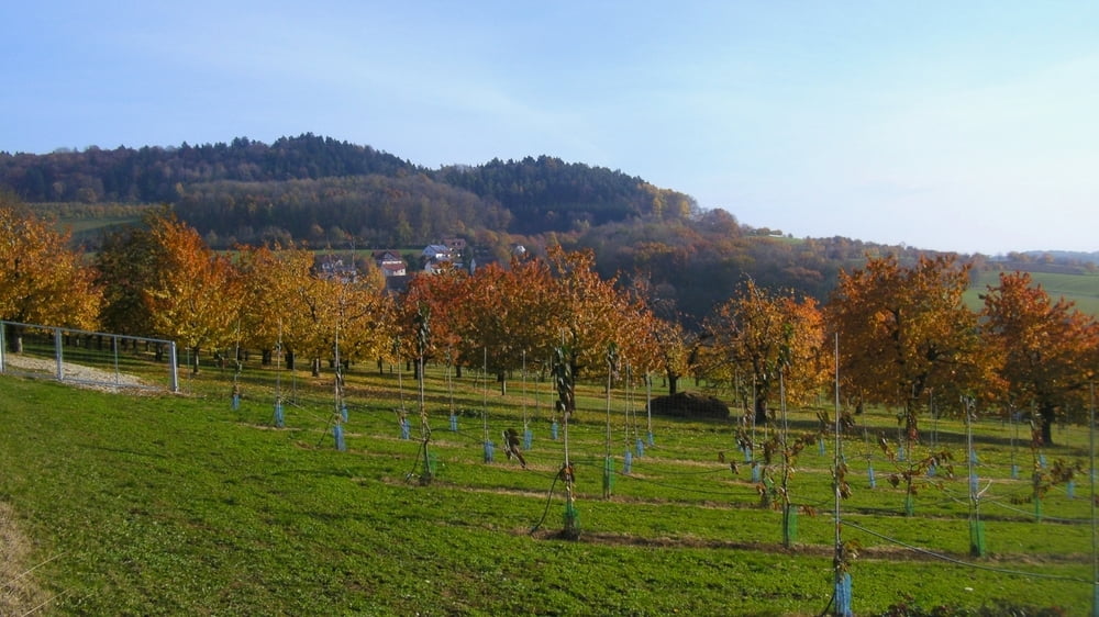 Wandern Franken: Igensdorf- Herbstausklang