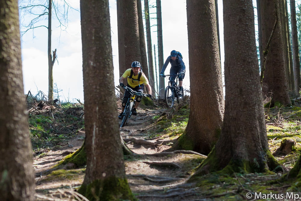 Augsburger Westwoods Trails