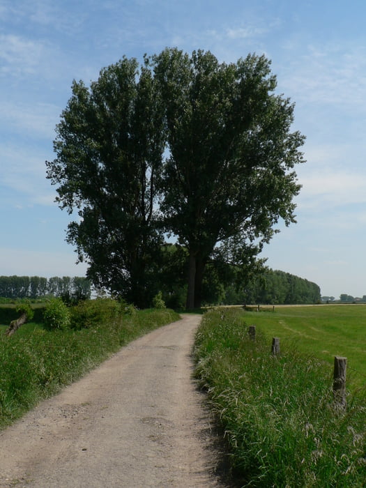 Kranenburg Schenkenschans