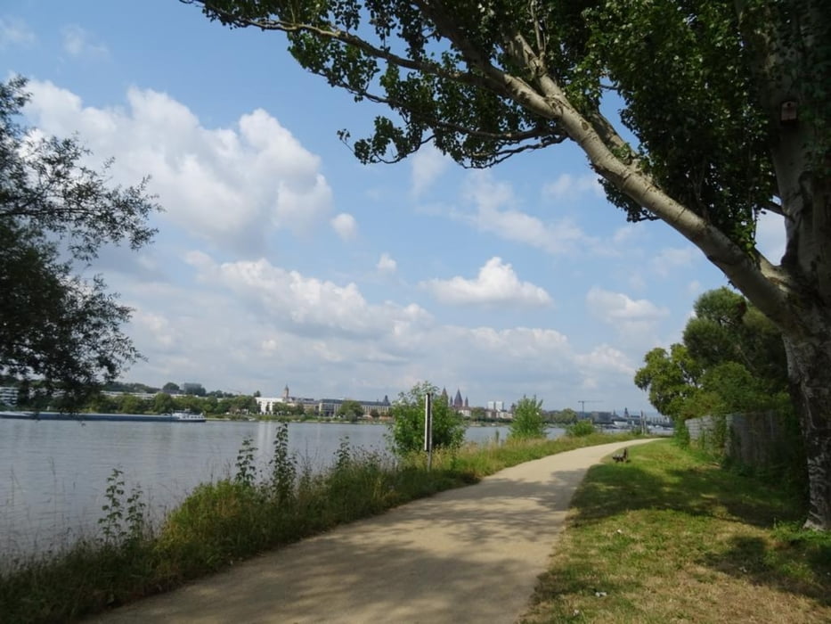 Von Hochheim am Main nach Mainz über die Bonifatius-Route