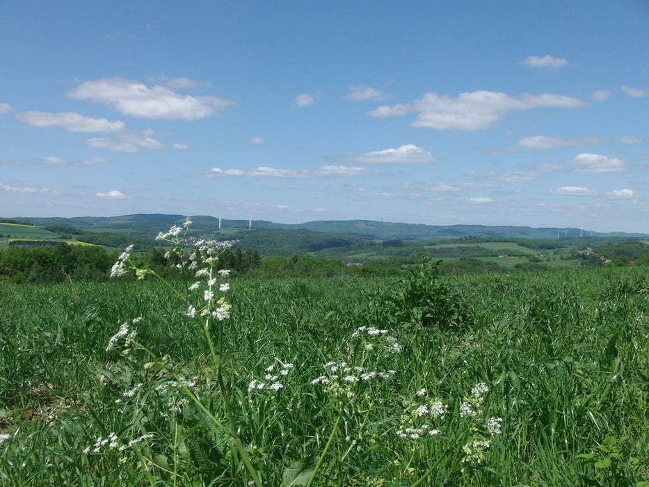 Rundtour Werschweiler