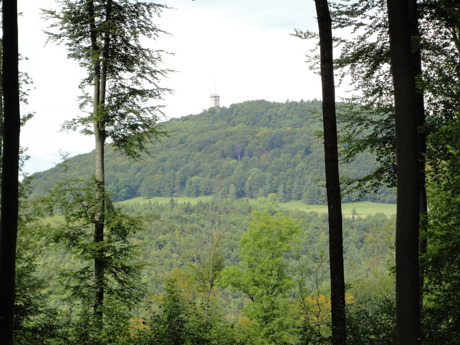 Gomaringen rund um den Roßberg Tour 6