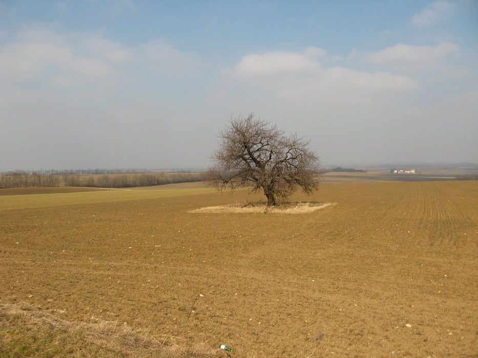 20110305_Prellenkirchen, Bruck, Hof, Kaiserreiche, Bruck, Hainburg