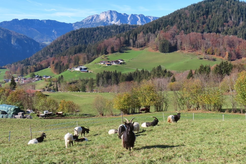 Ein weiterer (schwieriger) Rossfeldtrail