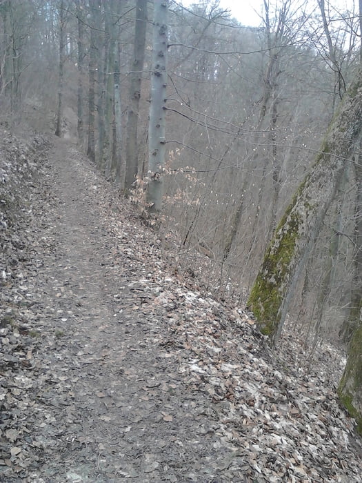 Weg durchs Schandtaubertal