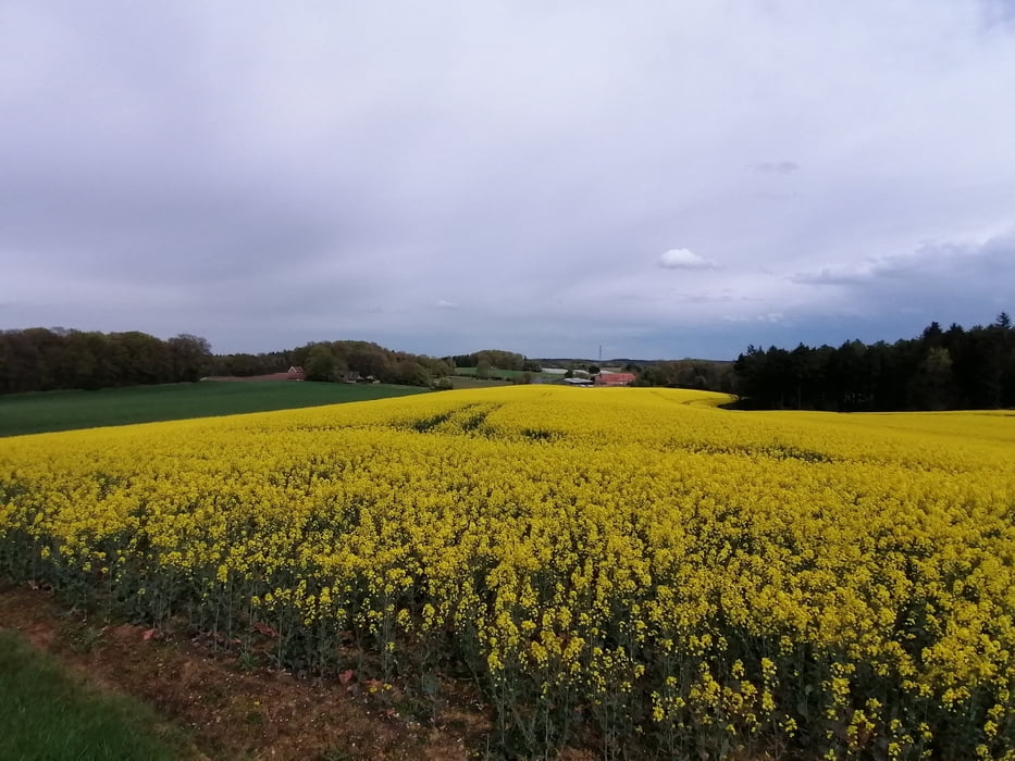 672. Fürstenau, Meine Erfrischungsrunde ums Moor ;-)