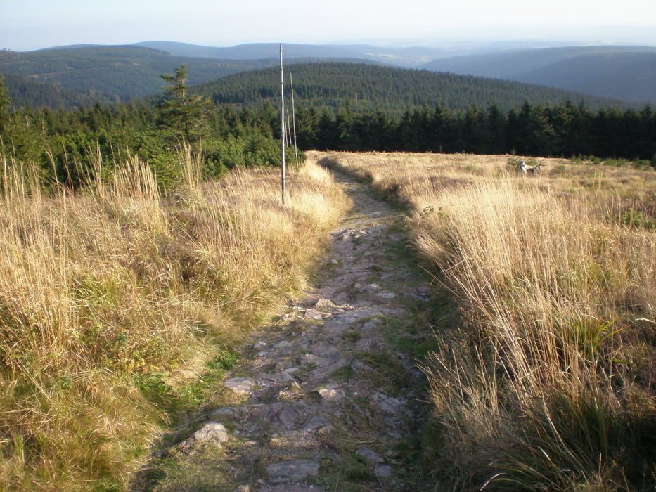 Orlické hory: Lukavice -Kačerov -Šerlich -Velká Deštná -Kněžná