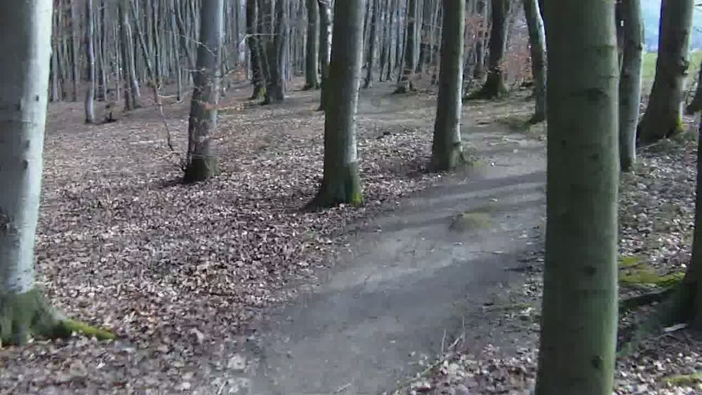 Freigericht-Fernblick-Engländer-Kihn Platz- Hufeisen