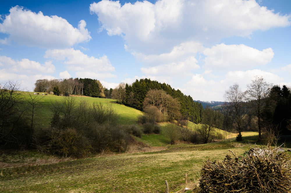 Hasper Talsperre Fototour