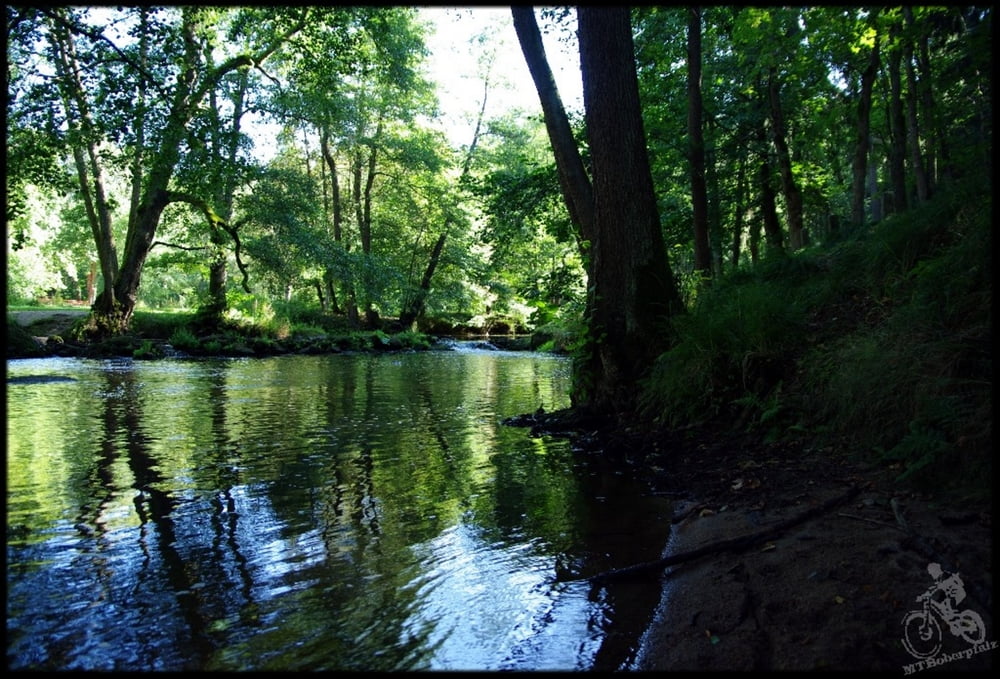 Kleine Familienrunde durchs wildromantische Waldnaabtal