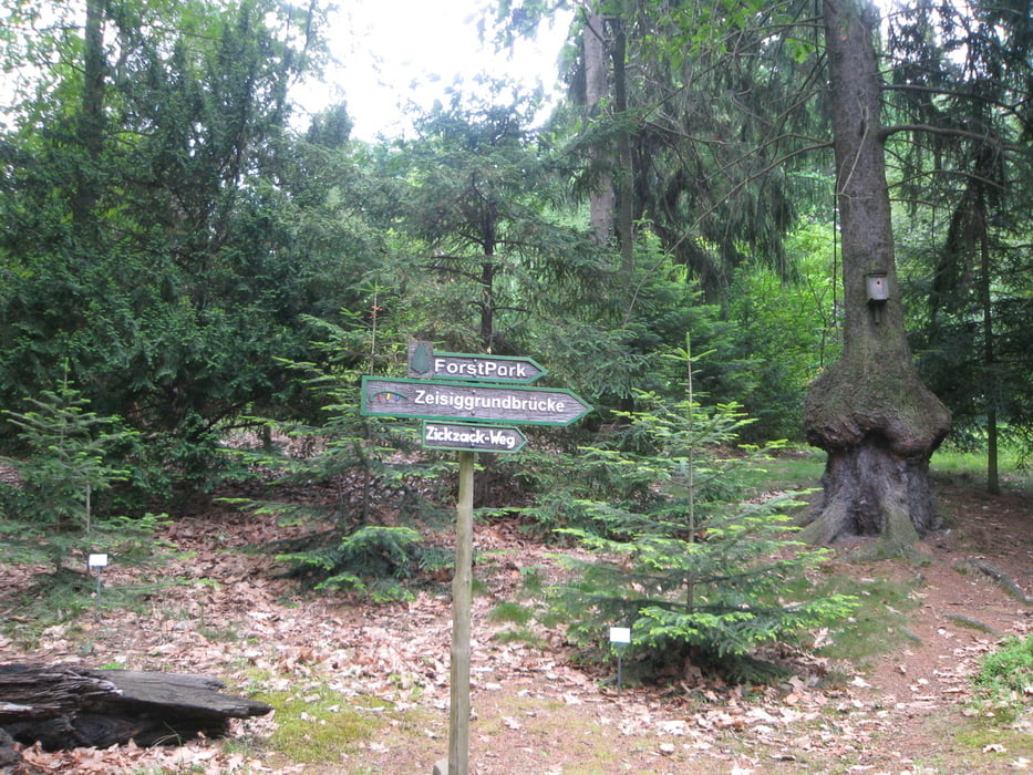 Forstbotanischer Garten Tharandt von FG aus