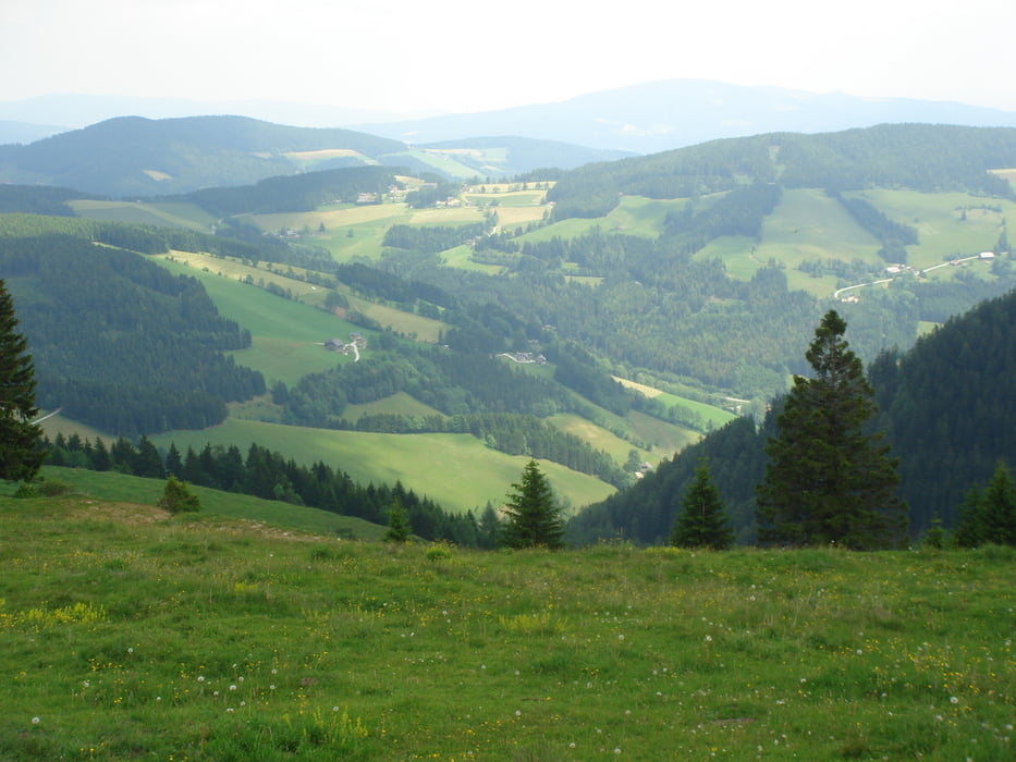 Sankt Kathrein am Offenegg - Sommeralm